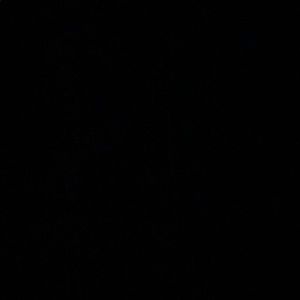 Meet your Posher, Gabrielle